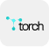 Torch Logo